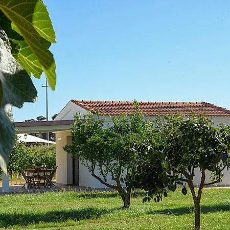Сasa de vacaciones Residenza I Filari Minore Alguer